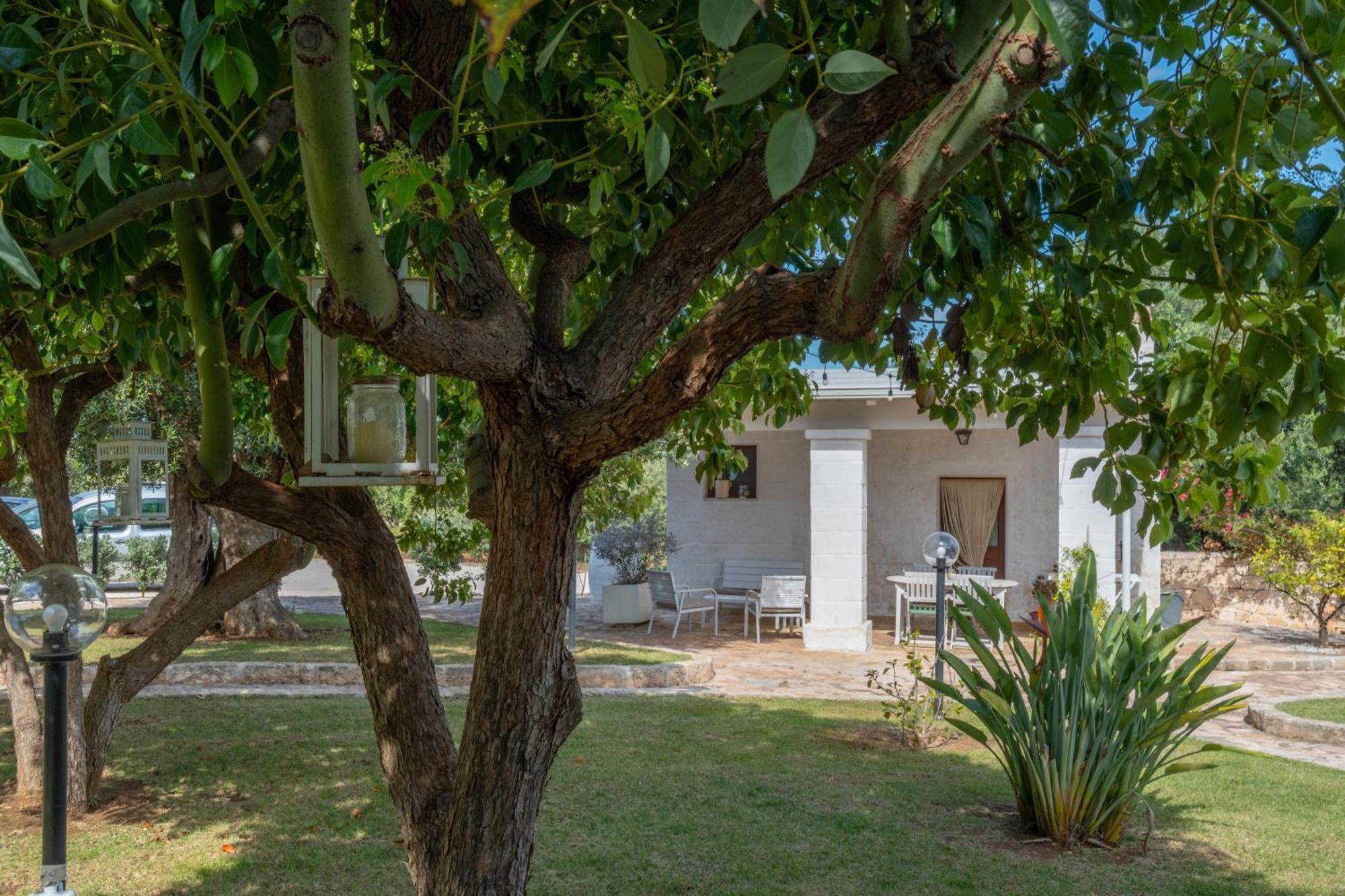פאסאנו Dimora Tauro B&B מראה חיצוני תמונה