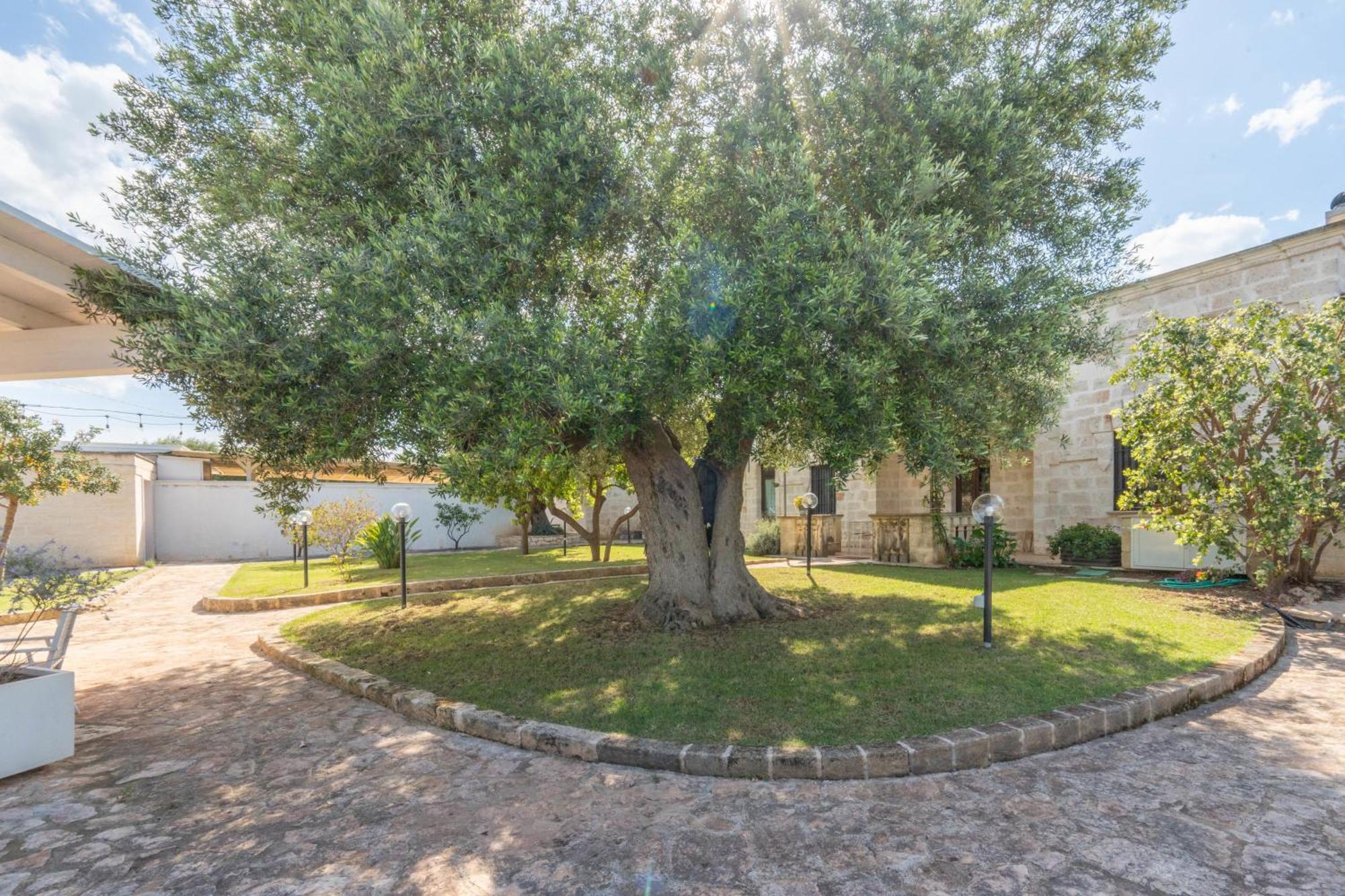 פאסאנו Dimora Tauro B&B מראה חיצוני תמונה